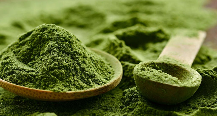 Matcha thee
