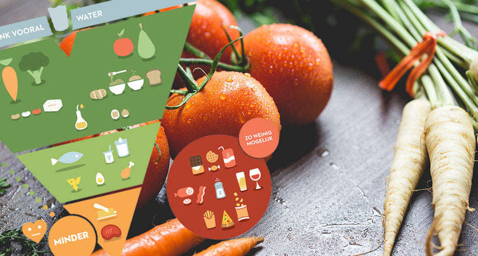 The new food triangle 2017 - everything turned upside down – JOY of MATCHA