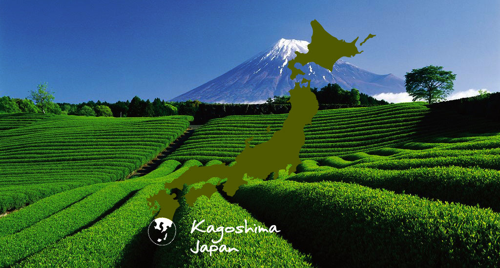 Ceremonial Matcha Thee - A-Kwaliteit Biologisch uit Kagoshima